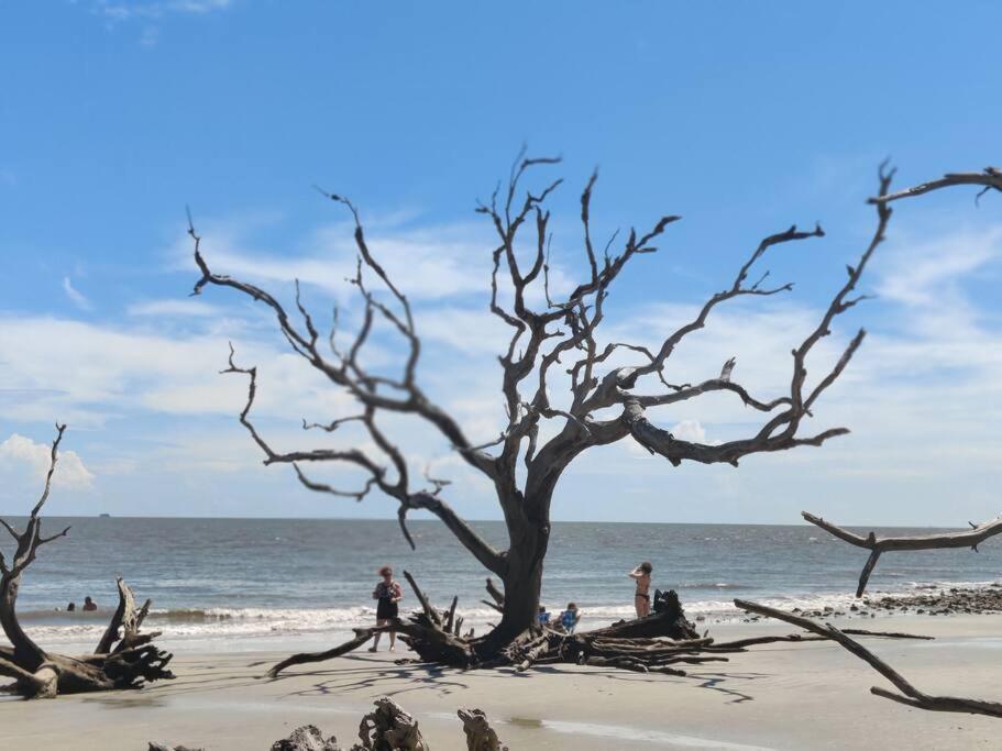 Villa Jekyll Island House/ Kellys On The Coast /King Bed Extérieur photo